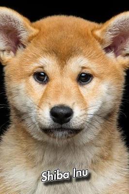 Shiba Inu by Notebooks Journals Xlpress image