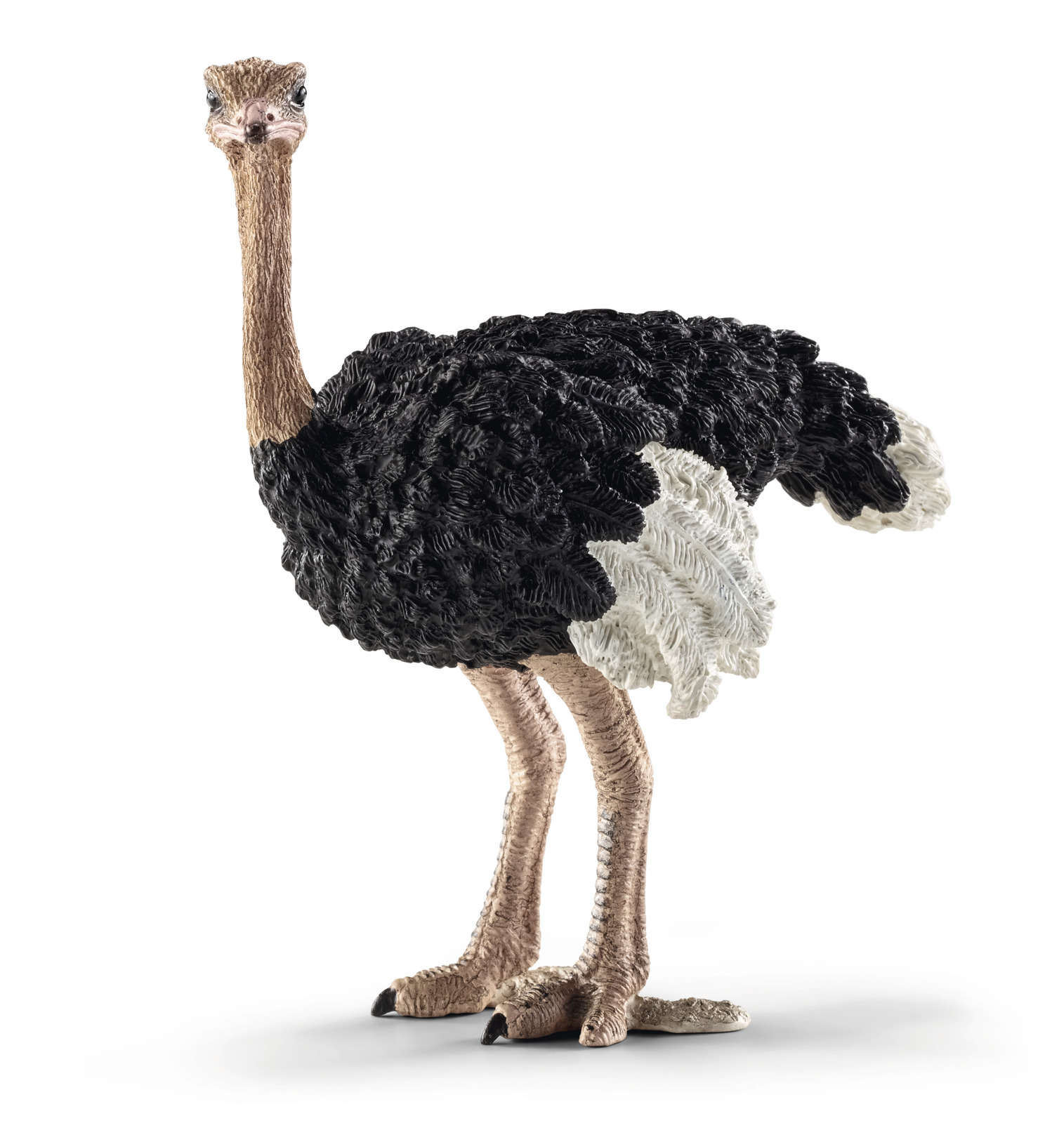 Buy Schleich Ostrich at Mighty Ape Australia