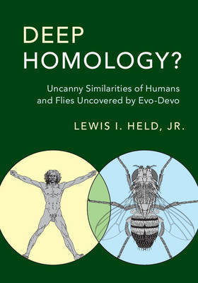 Deep Homology? on Hardback by Lewis I. Held, Jr.