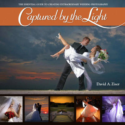 Captured by the Light by David Ziser image