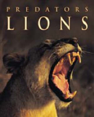 Lions on Hardback by Sally Morgan