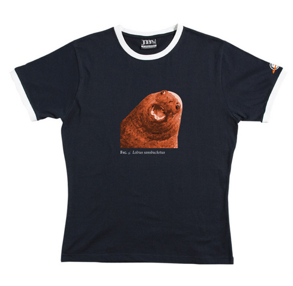 Lolrus Sansbucketus - Ringer Tee (Navy) for image