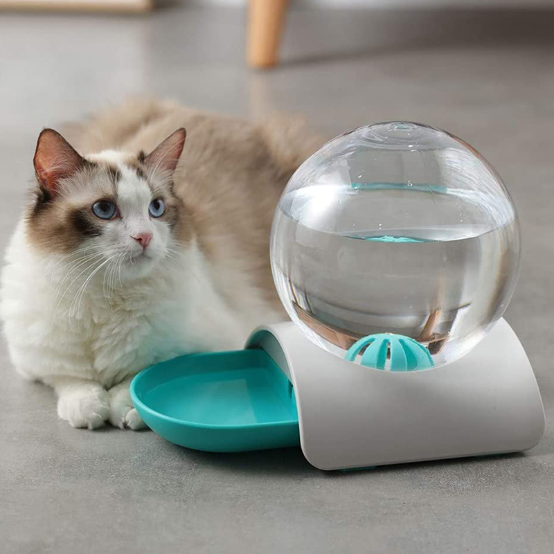 Buy 2.8L Bubble Cat Drinking Fountain Large at Mighty Ape NZ