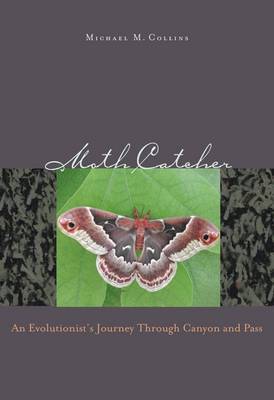 Moth Catcher image