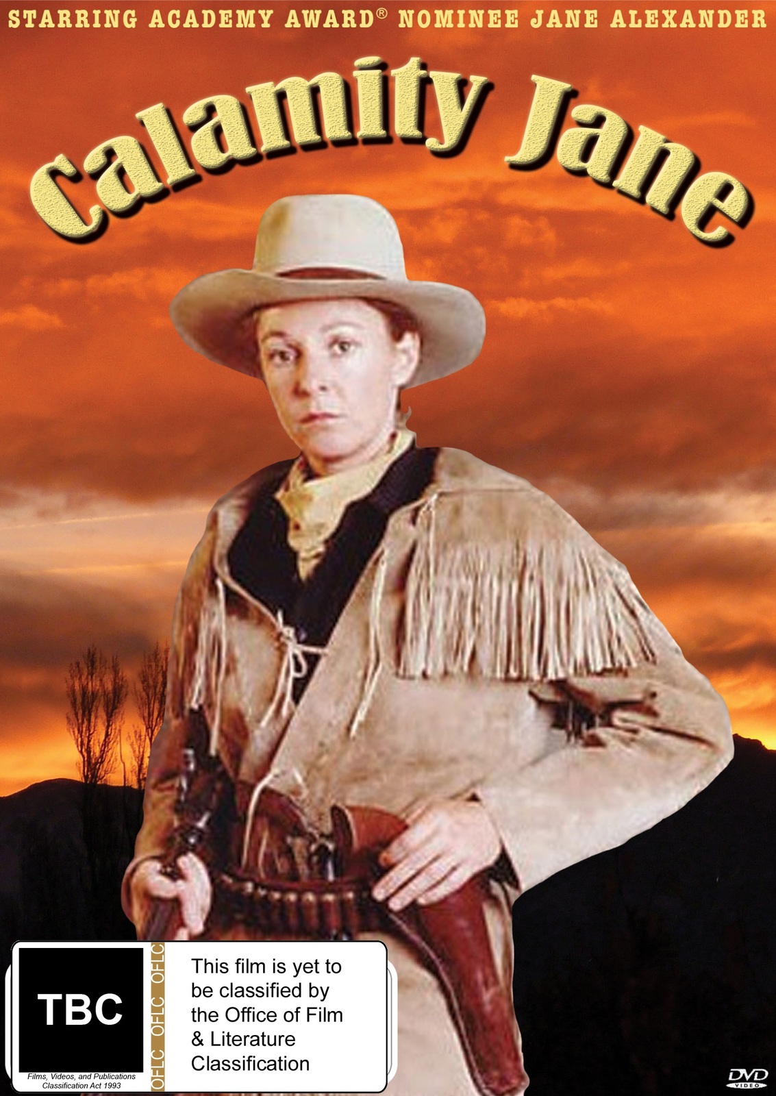 Calamity Jane on DVD image