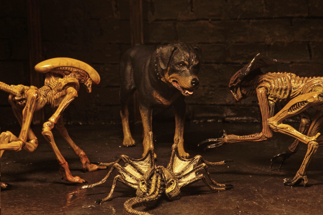 Alien 3: Creature Accessory Pack - (Scales with 7" Figures) image
