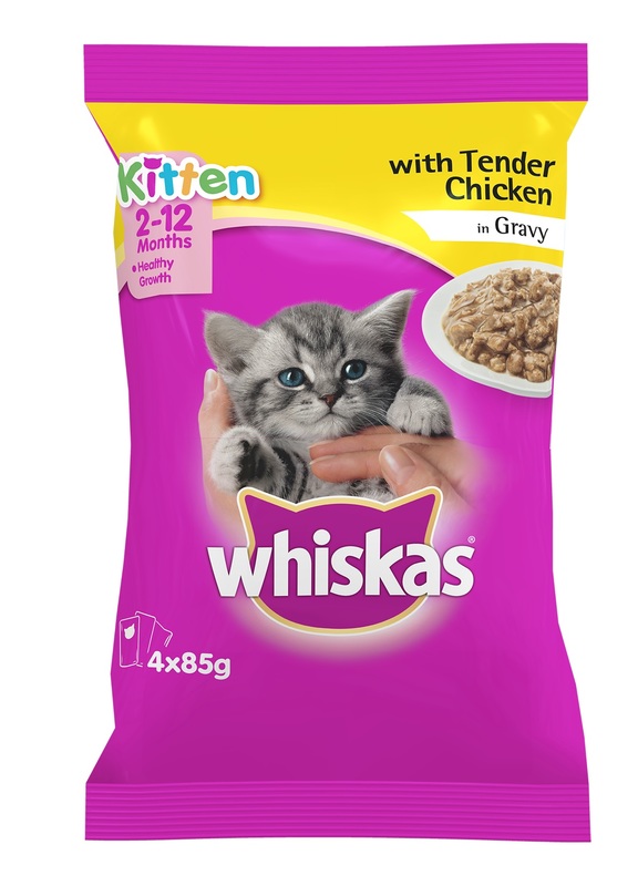 Buy Whiskas Kitten With Tender Chicken In Gravy (85g x 4) at Mighty Ape NZ