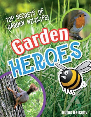 Garden Heroes: Age 7-8, Above Average Readers by Rufus Bellamy image