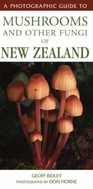 Photographic Guide To Mushrooms And Other Fungi Of New Zealand image