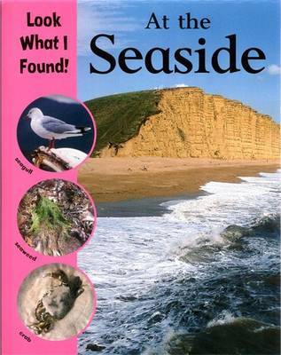 Look What I Found!: At The Seaside on Hardback by Paul Humphrey