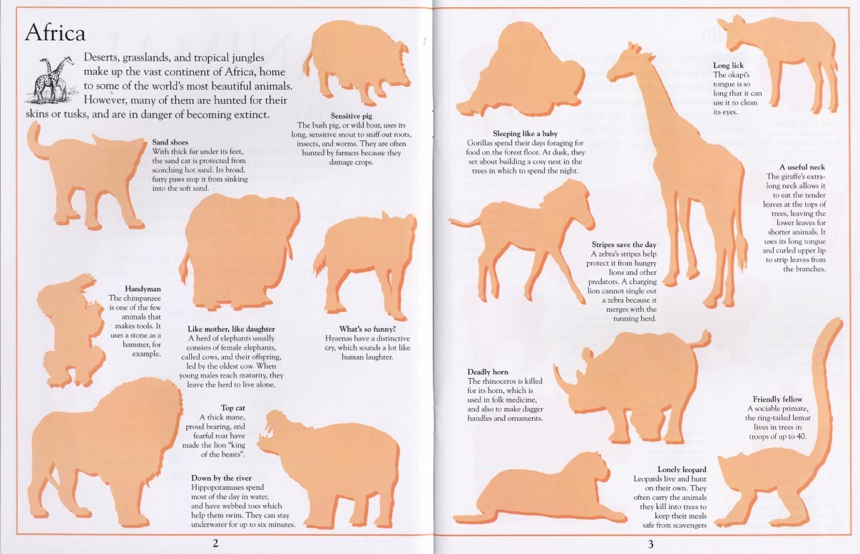 Animal Ultimate Sticker Book by DK image