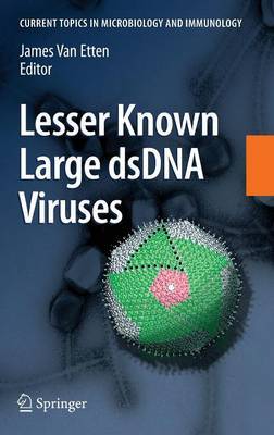 Lesser Known Large dsDNA Viruses image