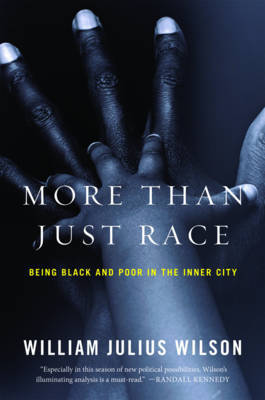 More than Just Race by William Julius Wilson