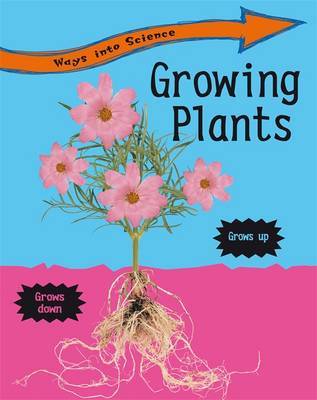 Growing Plants by Peter Riley image