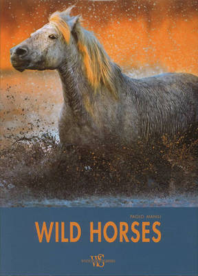 Wild Horses on Hardback by Paolo Manili