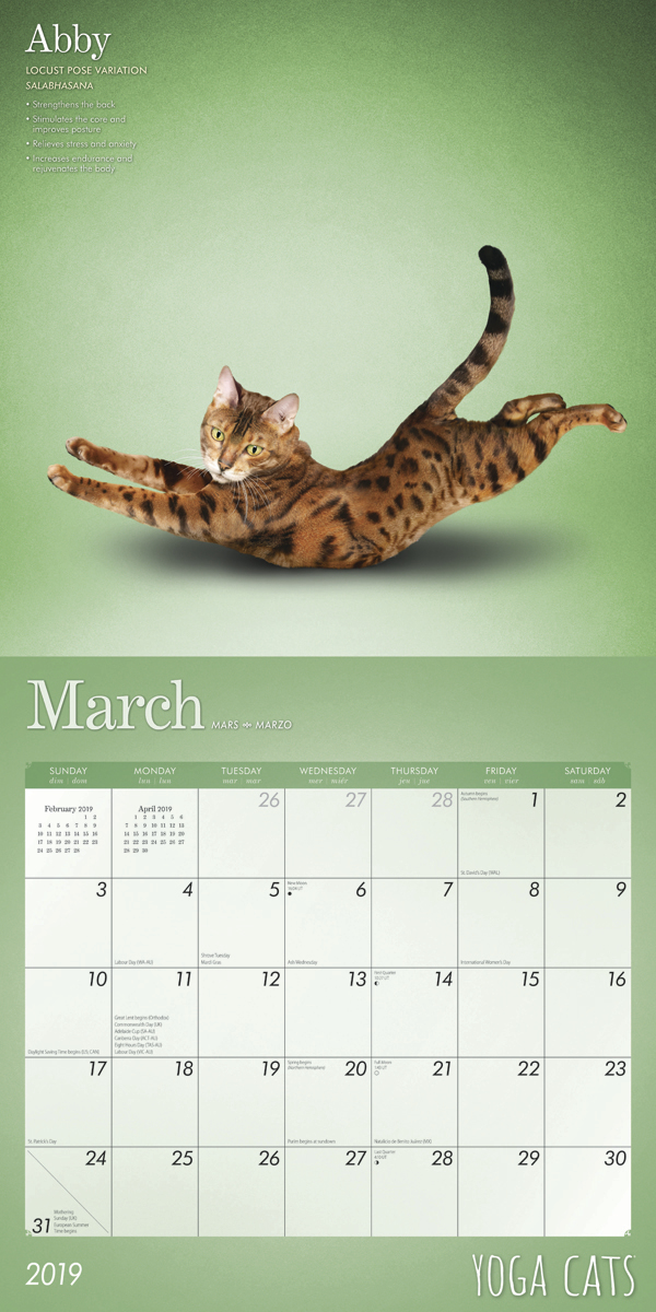 Yoga Cats 2019 Square Wall Calendar by Inc Browntrout Publishers image