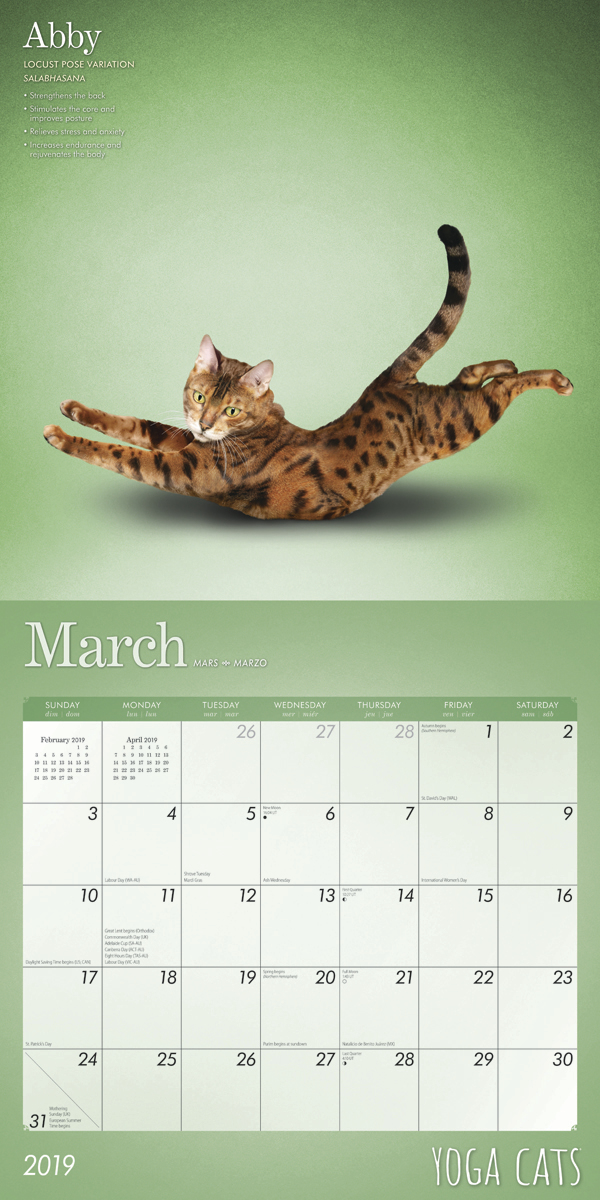 Yoga Cats 2019 Square Wall Calendar by Inc Browntrout Publishers