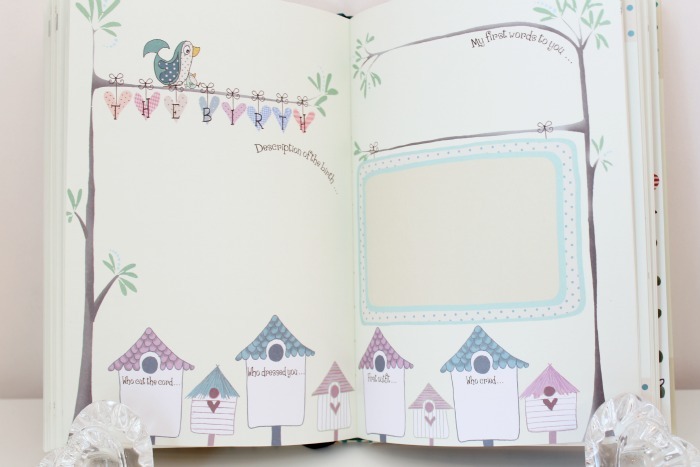 Bump to Birthday: Pregnancy & First Year Journal by from you to me image