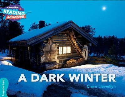 A Dark Winter Turquoise Band by Claire Llewellyn image