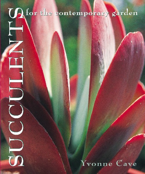 Succulents for the Contemporary Garden on Paperback by Yvonne Cave