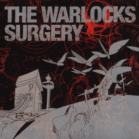 Surgery on CD by The Warlocks