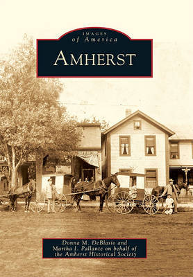 Amherst by Donna M DeBlasio image