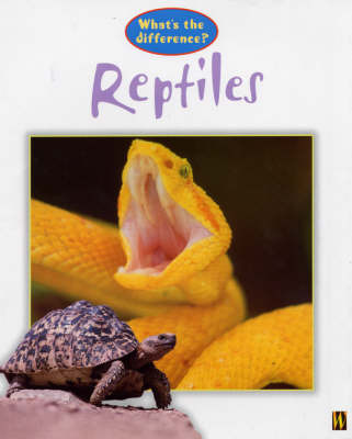 Reptiles by Stephen Savage image