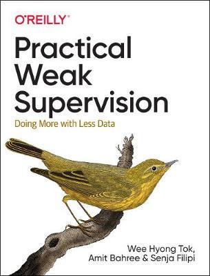Practical Weak Supervision by Wee Hyong Tok image