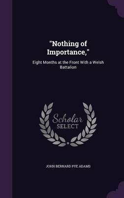 Nothing of Importance, by John Bernard Pye Adams image