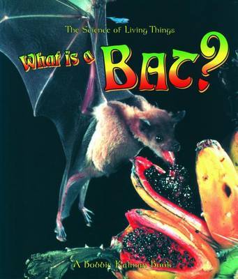 What Is A Bat by Bobbie Kalman image