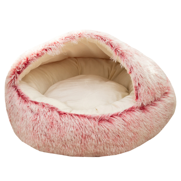 Pets at Mighty Ape NZ