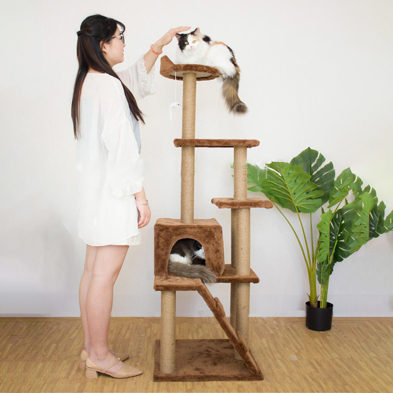 Buy Ape Basics Cat Climbing Frame (Medium/Large) at Mighty Ape NZ