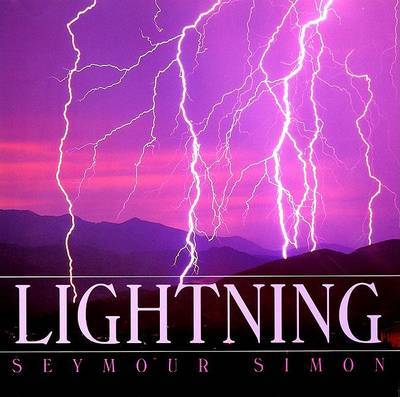 Lightning by Seymour Simon image