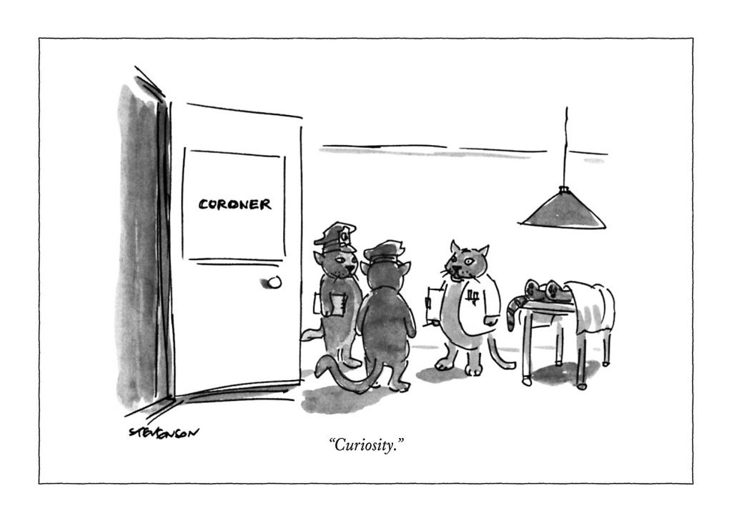 The New Yorker: Curiosity - Greeting Card