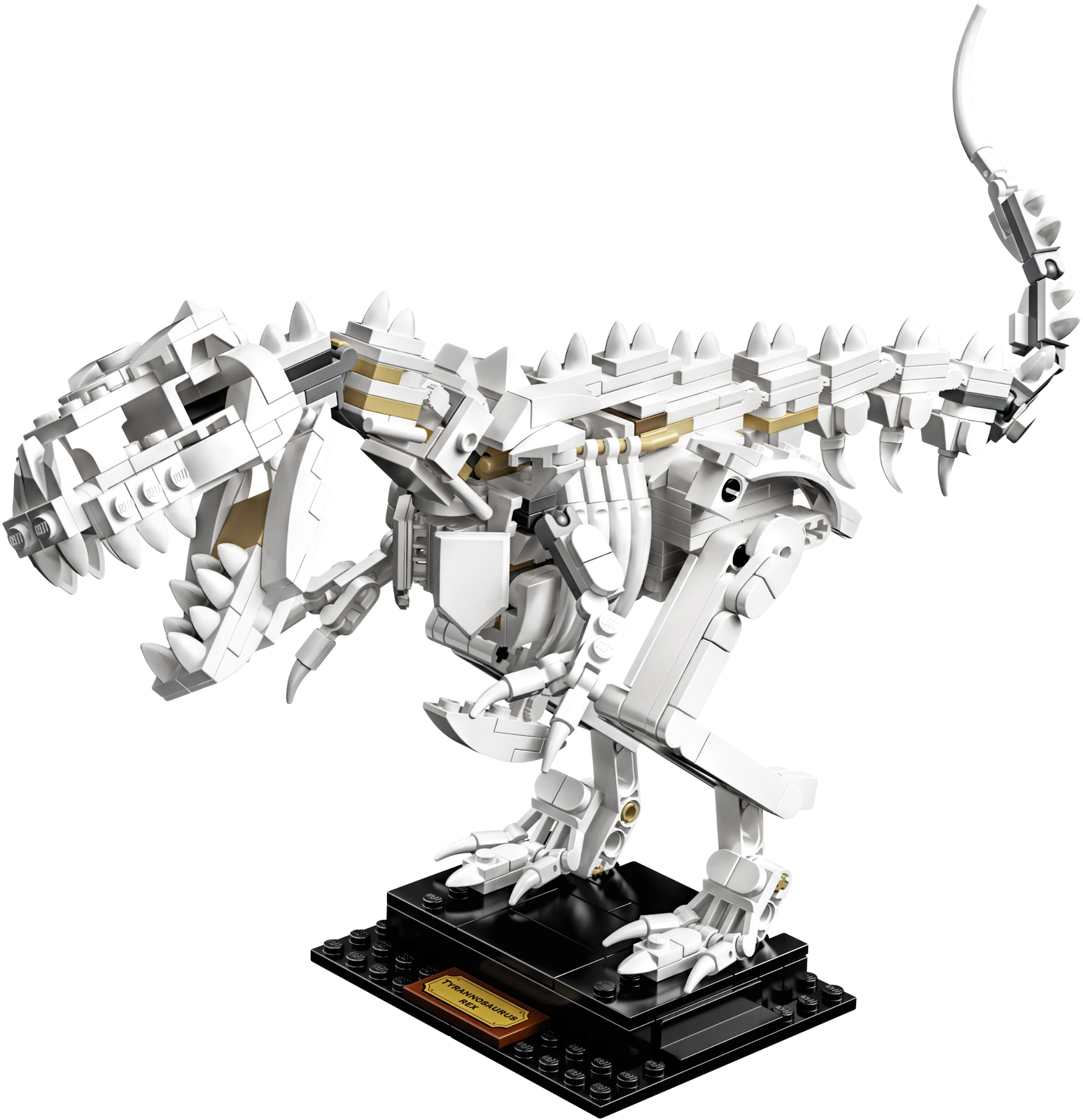 LEGO Ideas - Dinosaur Fossils image