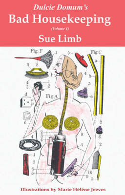Bad Housekeeping by Sue Limb image
