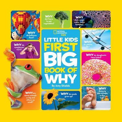 Little Kids First Big Book of Why on Hardback by Amy Shields