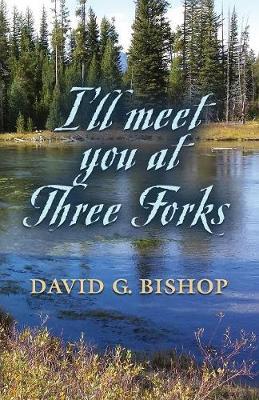 I'll Meet You at Three Forks by David G Bishop image