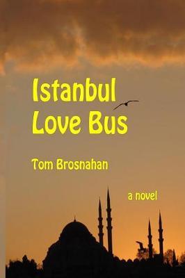 Istanbul Love Bus by Tom Brosnahan image