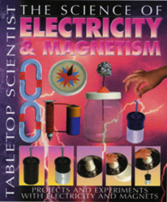 Electricity and Magnetism image