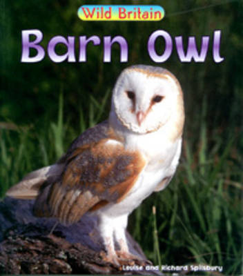 Barn Owl on Paperback by Richard Spilsbury