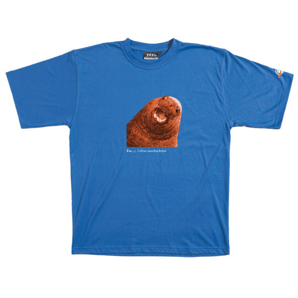 Lolrus Sansbucketus - Tshirt (Blue) for image