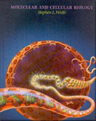 Molecular and Cellular Biology by Stephen L. Wolfe image