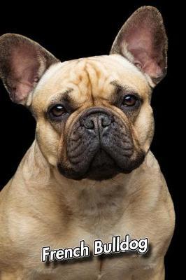 French Bulldog image