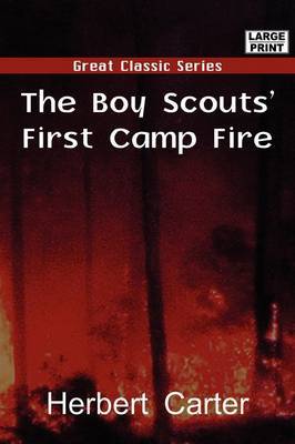 The Boy Scout's First Camp Fire image