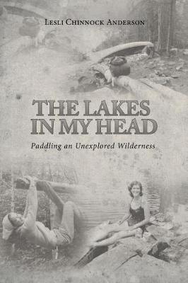 The Lakes in My Head by Lesli Chinnock Anderson image