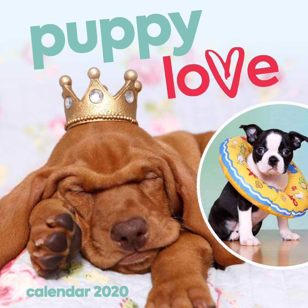 Puppy Love 2020 Square Wall Calendar