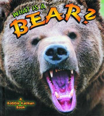 What is a Bear? by John Crossingham image