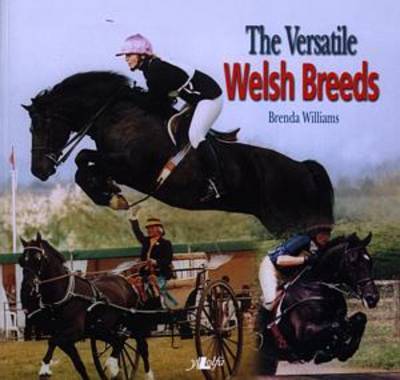 The Versatile Welsh Breeds: Breeding and Working the Welsh Cobs by Brenda Williams image
