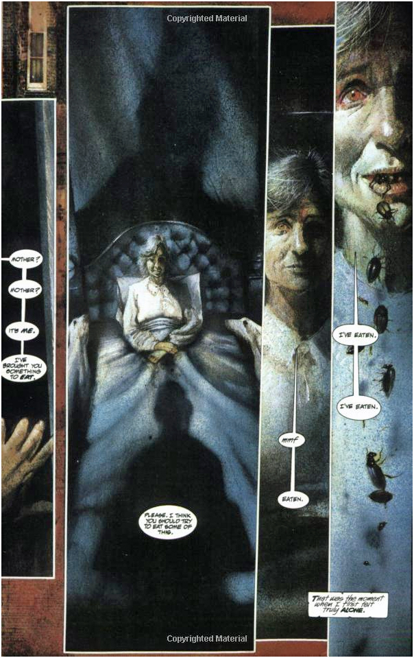 Batman Arkham Asylum (15th Anniversary Edition) D C Comic Grant Morrison Book Buy Now